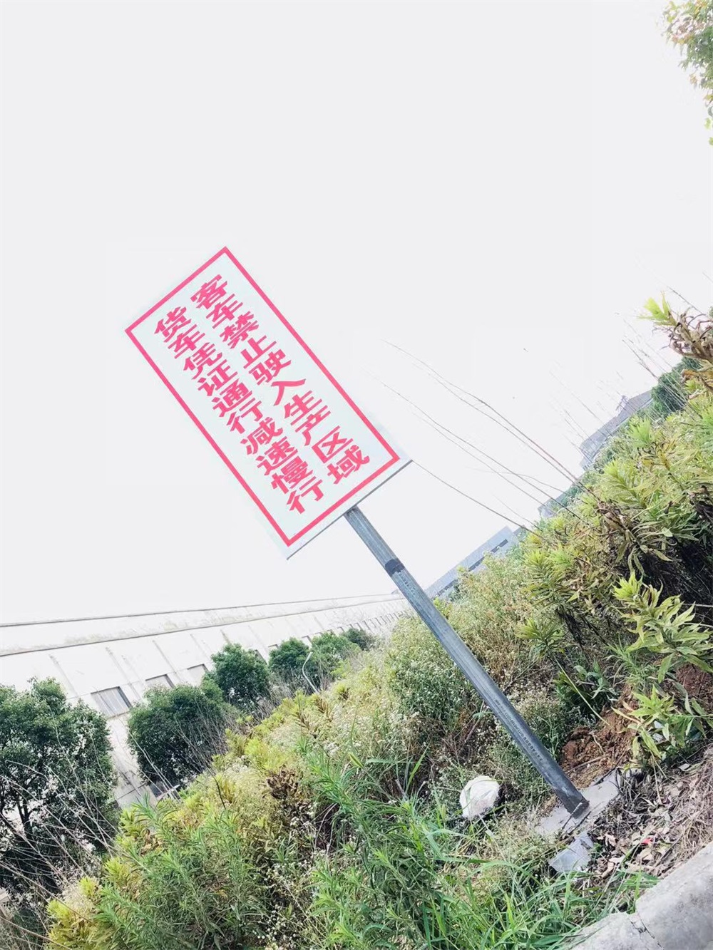Pڡչcչ